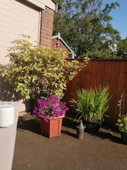 Garden Apartment Morpeth- With Lockable Bike Storage! Eksteriør billede
